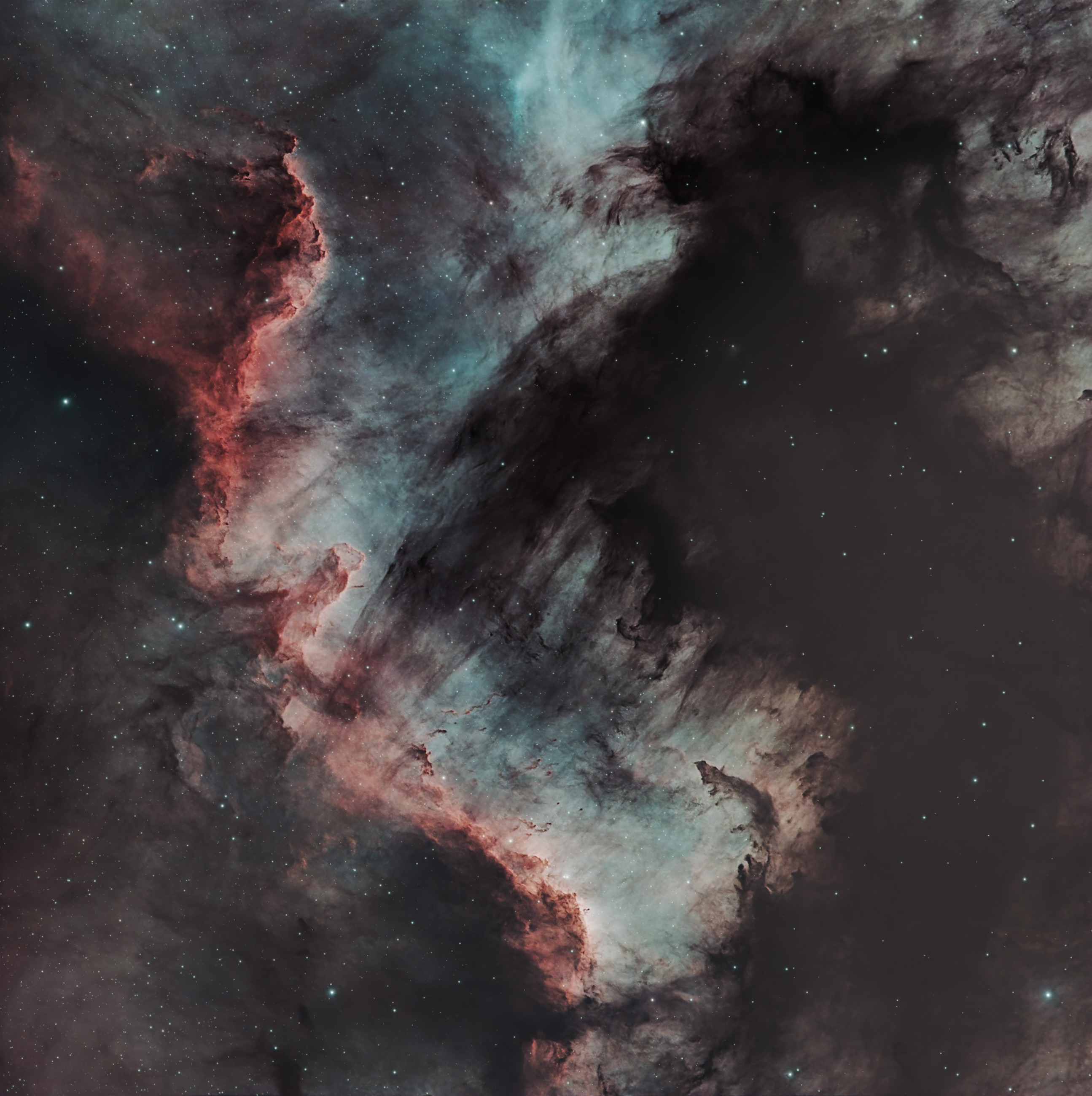 Cygnus Wand im Sternbild Schwan, Teil des Nordamerika Nebels, NGC7000